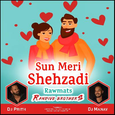 Sun Meri Shehzadi - Dj Prith & Dj Manav